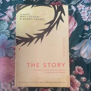 The Story Teen Edition “Bible”